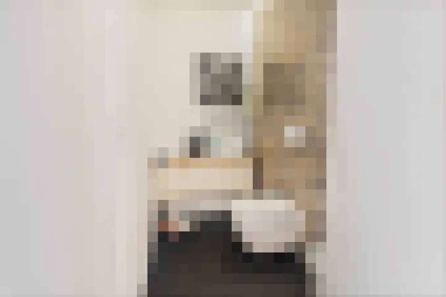 Doorzwin 2931 Julianadorp thumbnail 7