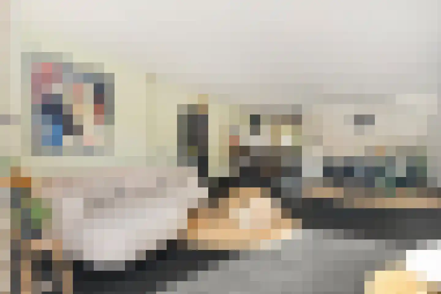 Doorzwin 2931 Julianadorp thumbnail 8