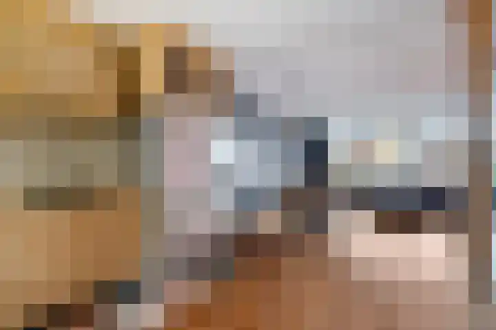 Doorzwin 3213 Julianadorp thumbnail 11