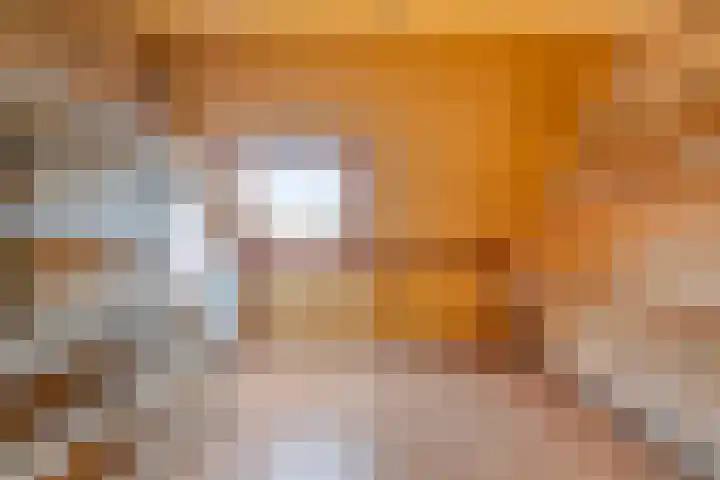 Doorzwin 3213 Julianadorp thumbnail 18