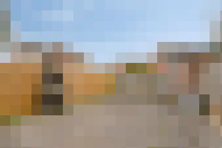 Doorzwin 3213 Julianadorp thumbnail 22