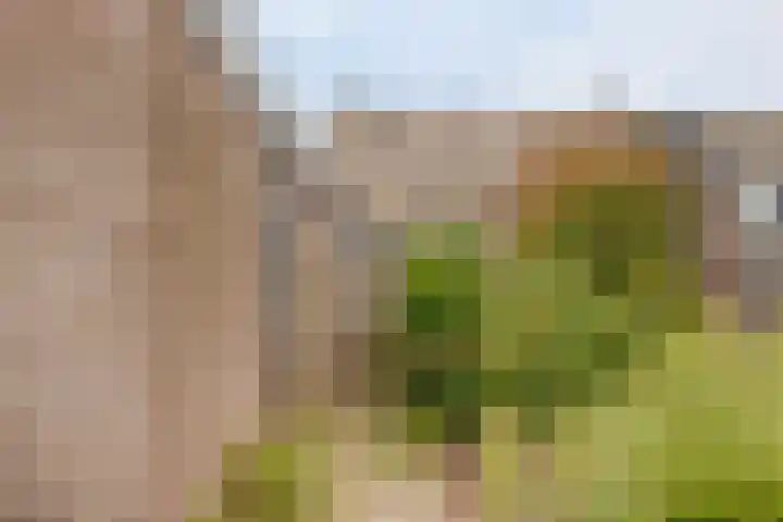 Doorzwin 3213 Julianadorp thumbnail 24