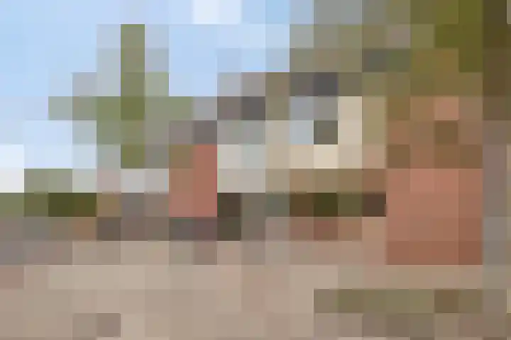 Doorzwin 3213 Julianadorp thumbnail 26