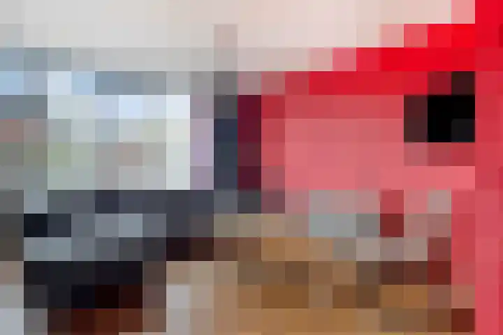 Doorzwin 3213 Julianadorp thumbnail 5