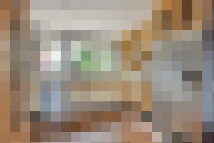 Doorzwin 3213 Julianadorp thumbnail 9