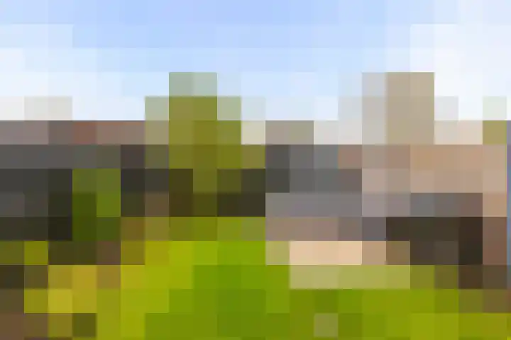 Doorzwin 3303 Julianadorp thumbnail 10
