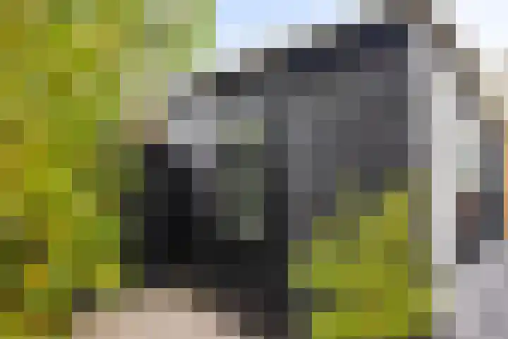 Doorzwin 3303 Julianadorp thumbnail 11