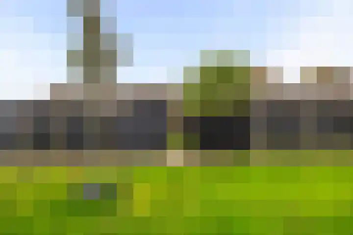 Doorzwin 3303 Julianadorp thumbnail 13