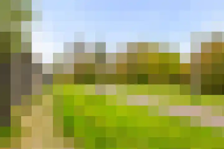 Doorzwin 3303 Julianadorp thumbnail 14