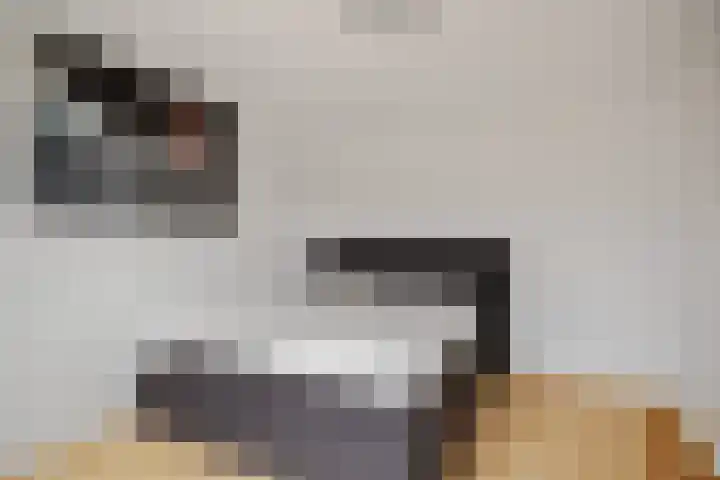 Doorzwin 3303 Julianadorp thumbnail 15
