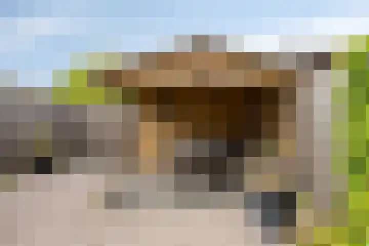 Doorzwin 3305 Julianadorp thumbnail 28