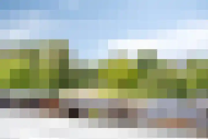 Doorzwin 3305 Julianadorp thumbnail 33