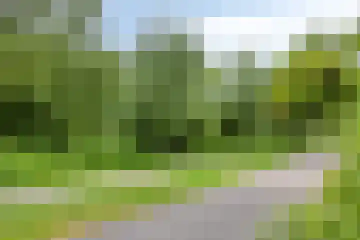 Doorzwin 3305 Julianadorp thumbnail 35