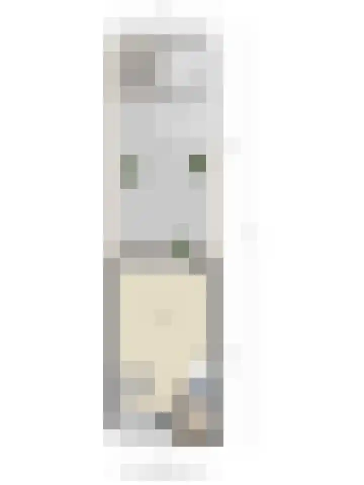 Doorzwin 3305 Julianadorp thumbnail 36