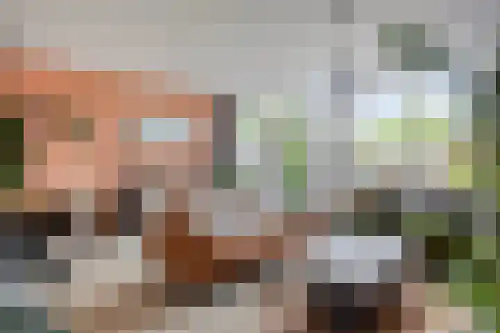 Doorzwin 3305 Julianadorp thumbnail 5