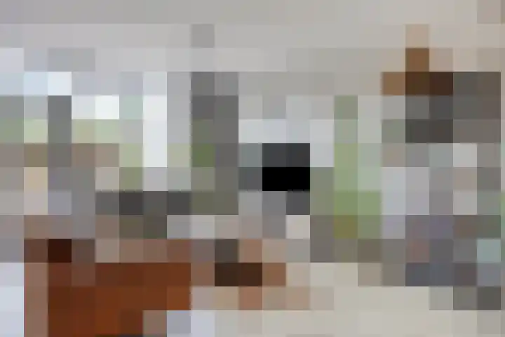 Doorzwin 3305 Julianadorp thumbnail 6