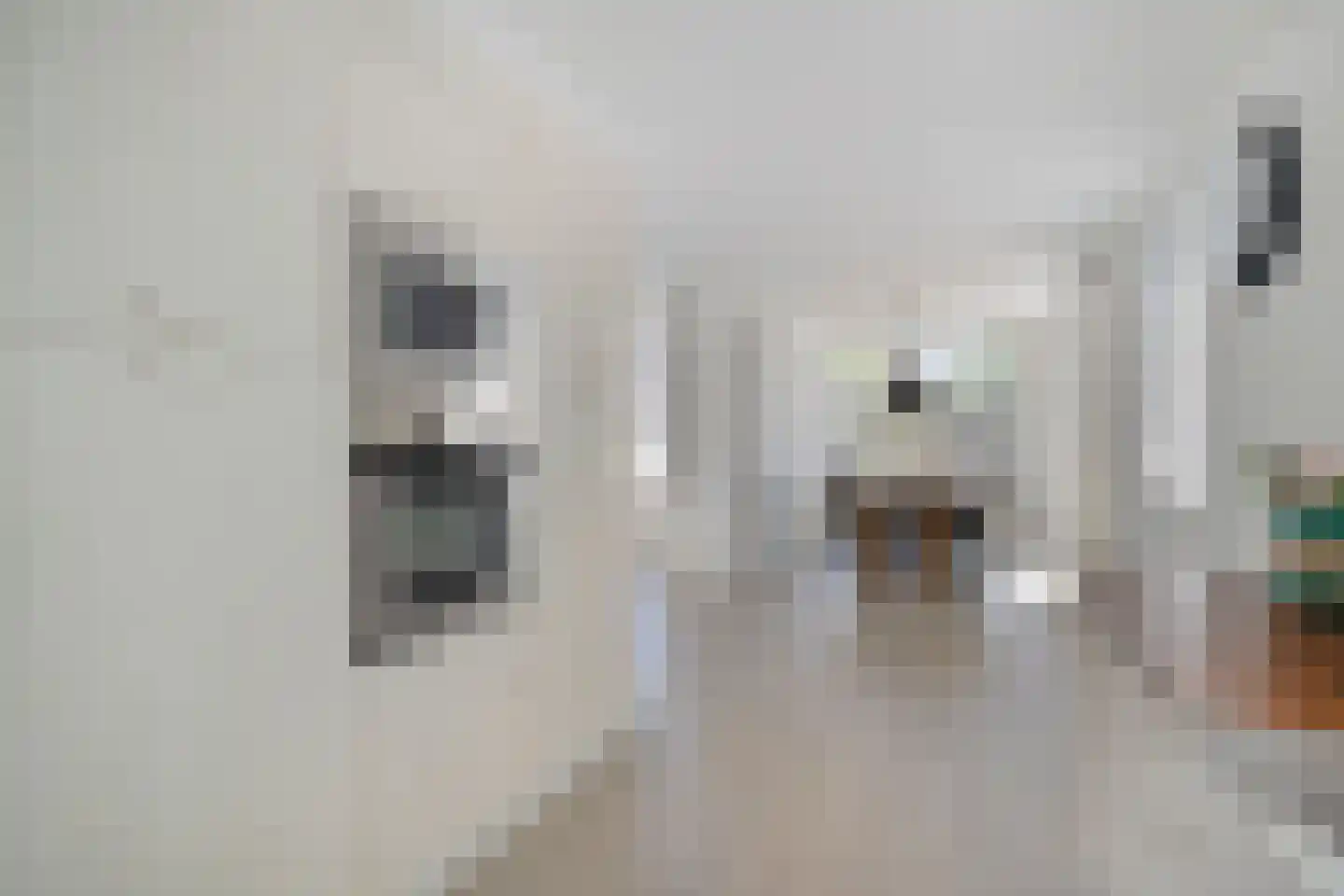 Doorzwin 3525 Julianadorp thumbnail 12