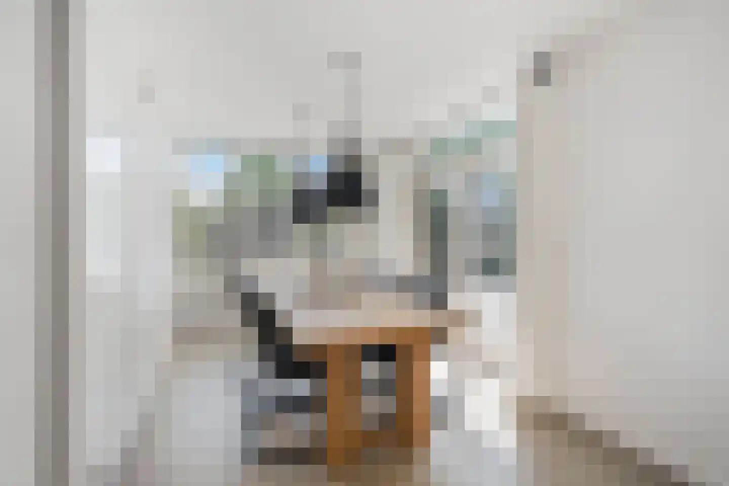 Doorzwin 3525 Julianadorp thumbnail 13