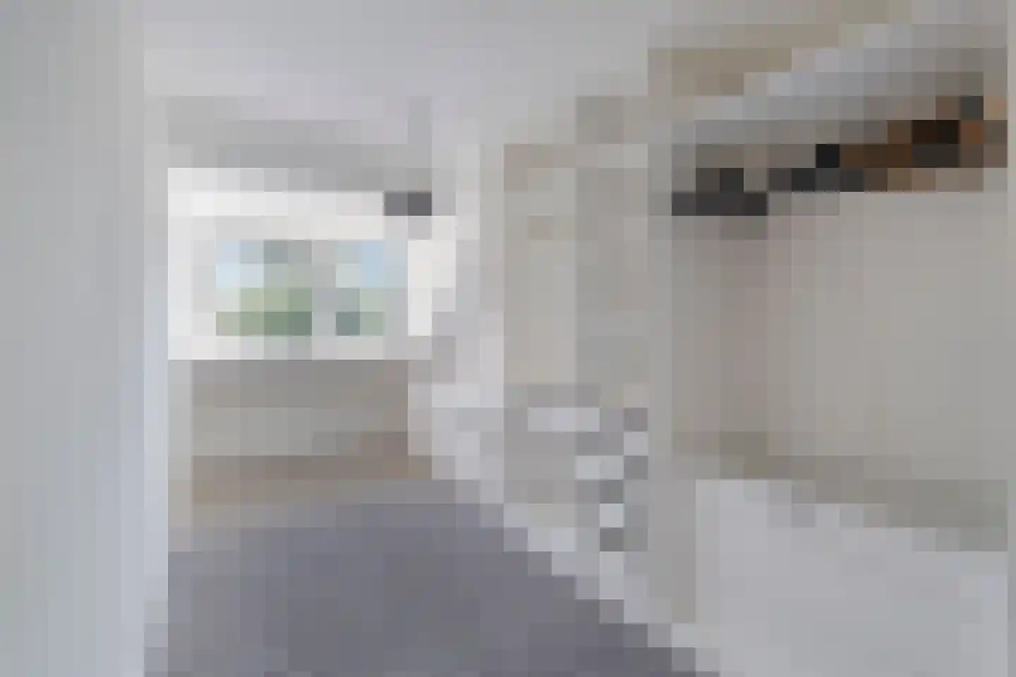 Doorzwin 3525 Julianadorp thumbnail 19