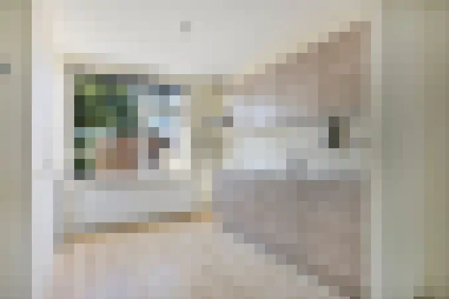 Doorzwin 4126 Julianadorp thumbnail 10