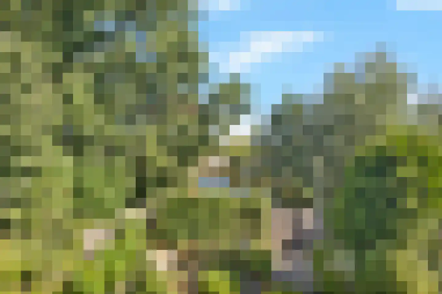 Doorzwin 4126 Julianadorp thumbnail 16