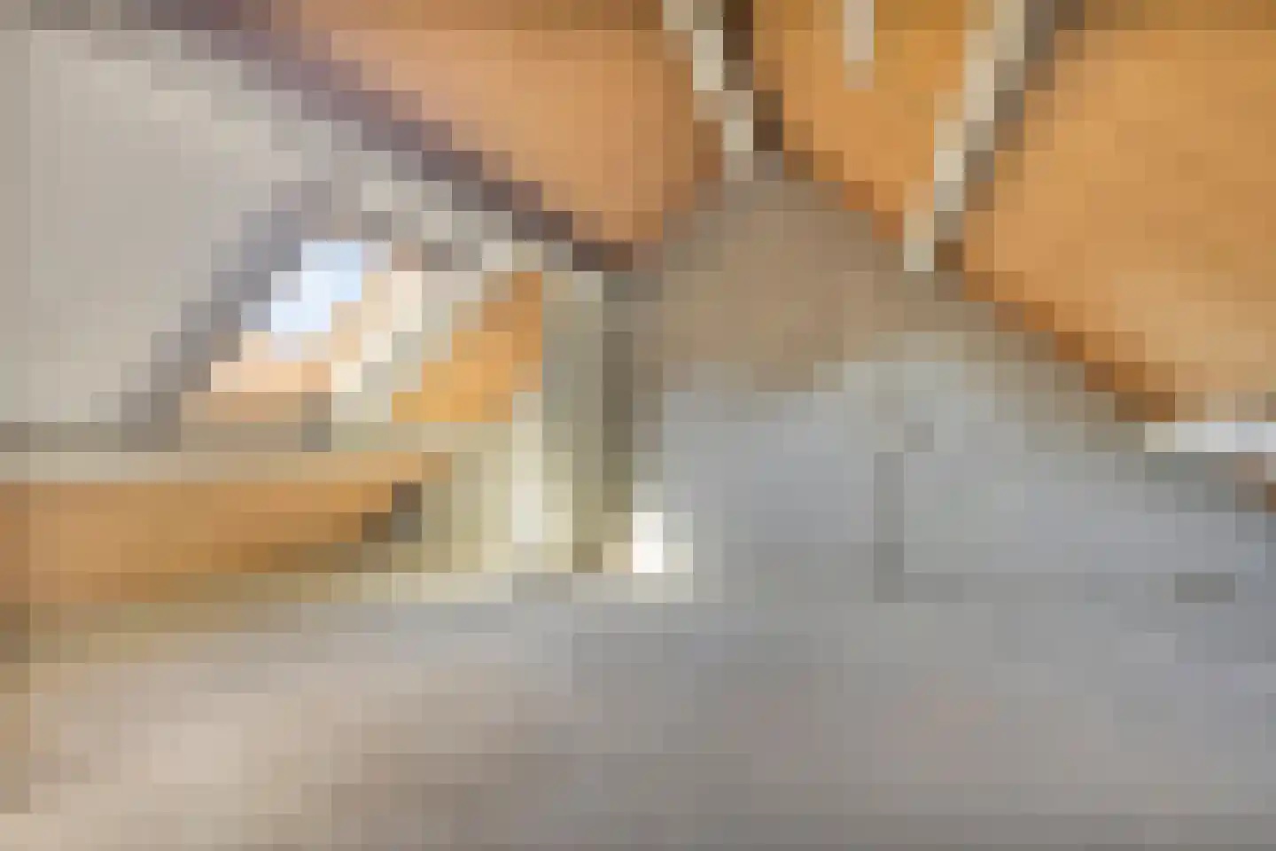 Doorzwin 4126 Julianadorp thumbnail 22