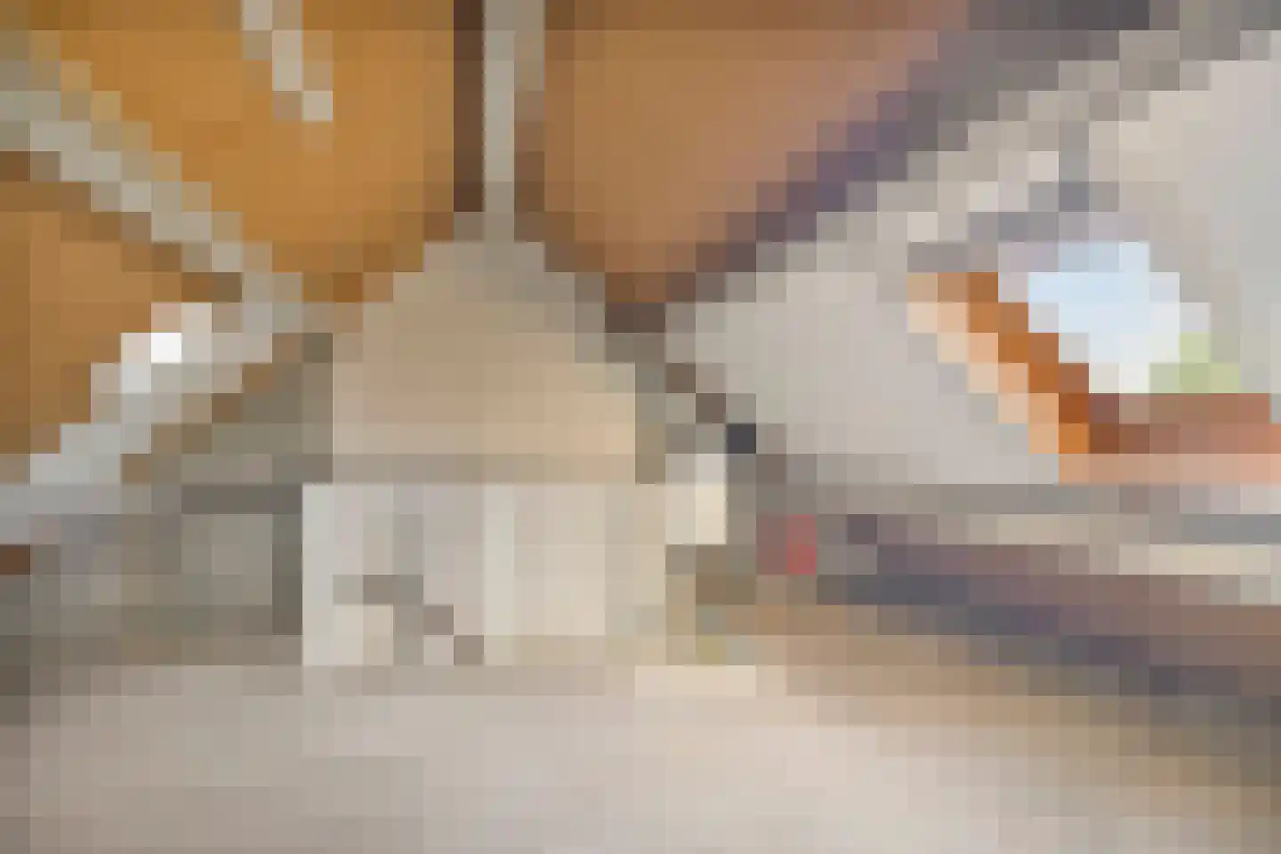 Doorzwin 4126 Julianadorp thumbnail 23