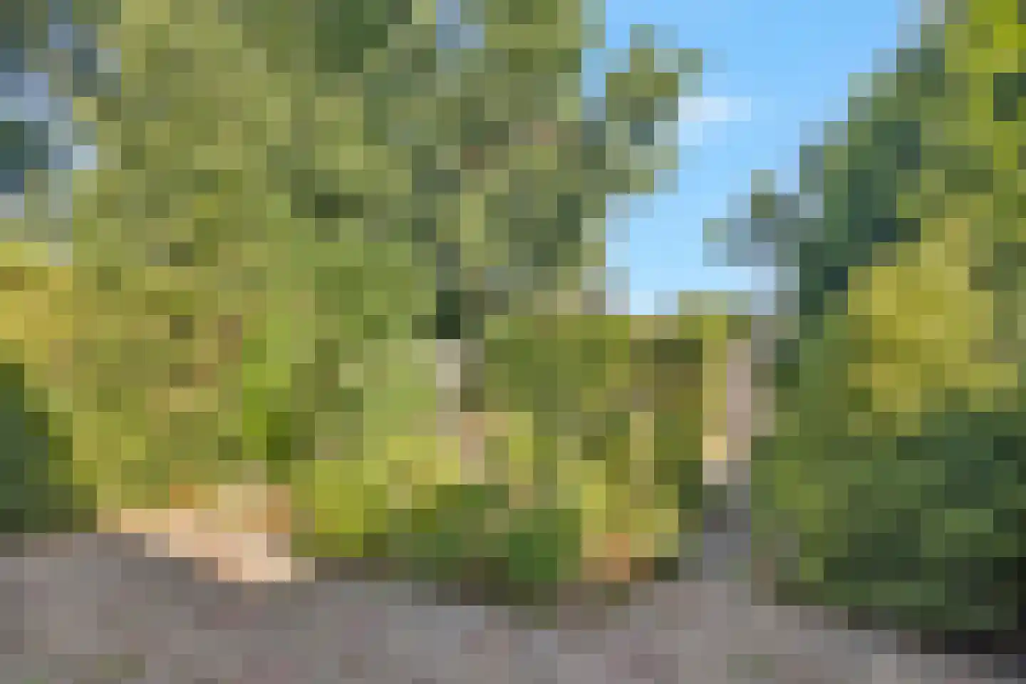Doorzwin 4126 Julianadorp thumbnail 24