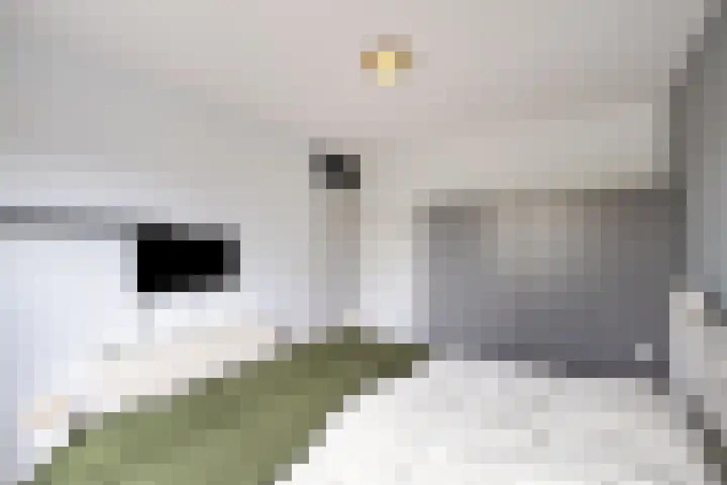 Doorzwin 4128 Julianadorp thumbnail 31