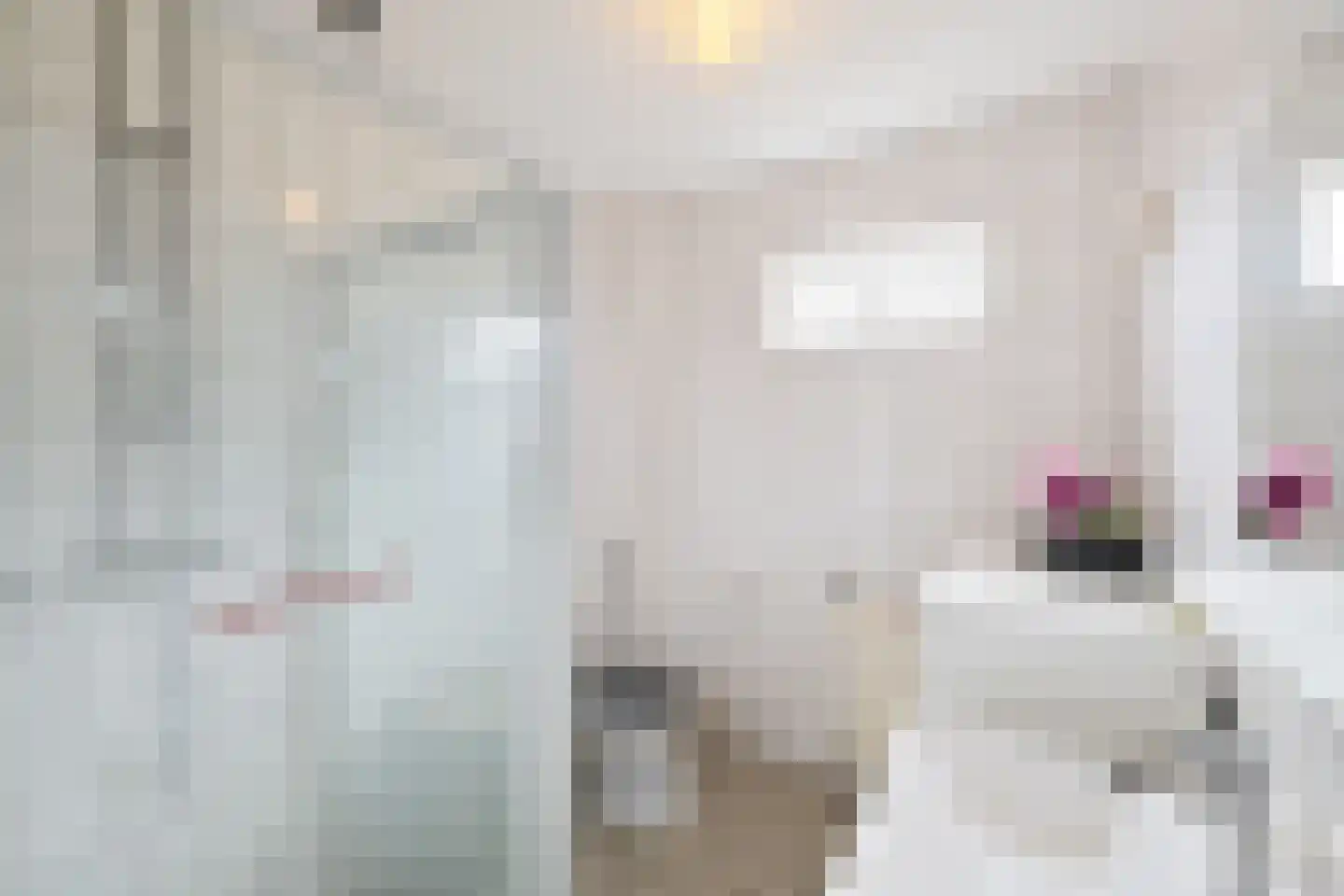 Doorzwin 4128 Julianadorp thumbnail 34