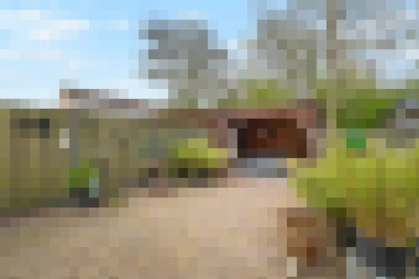 Doorzwin 4128 Julianadorp thumbnail 36