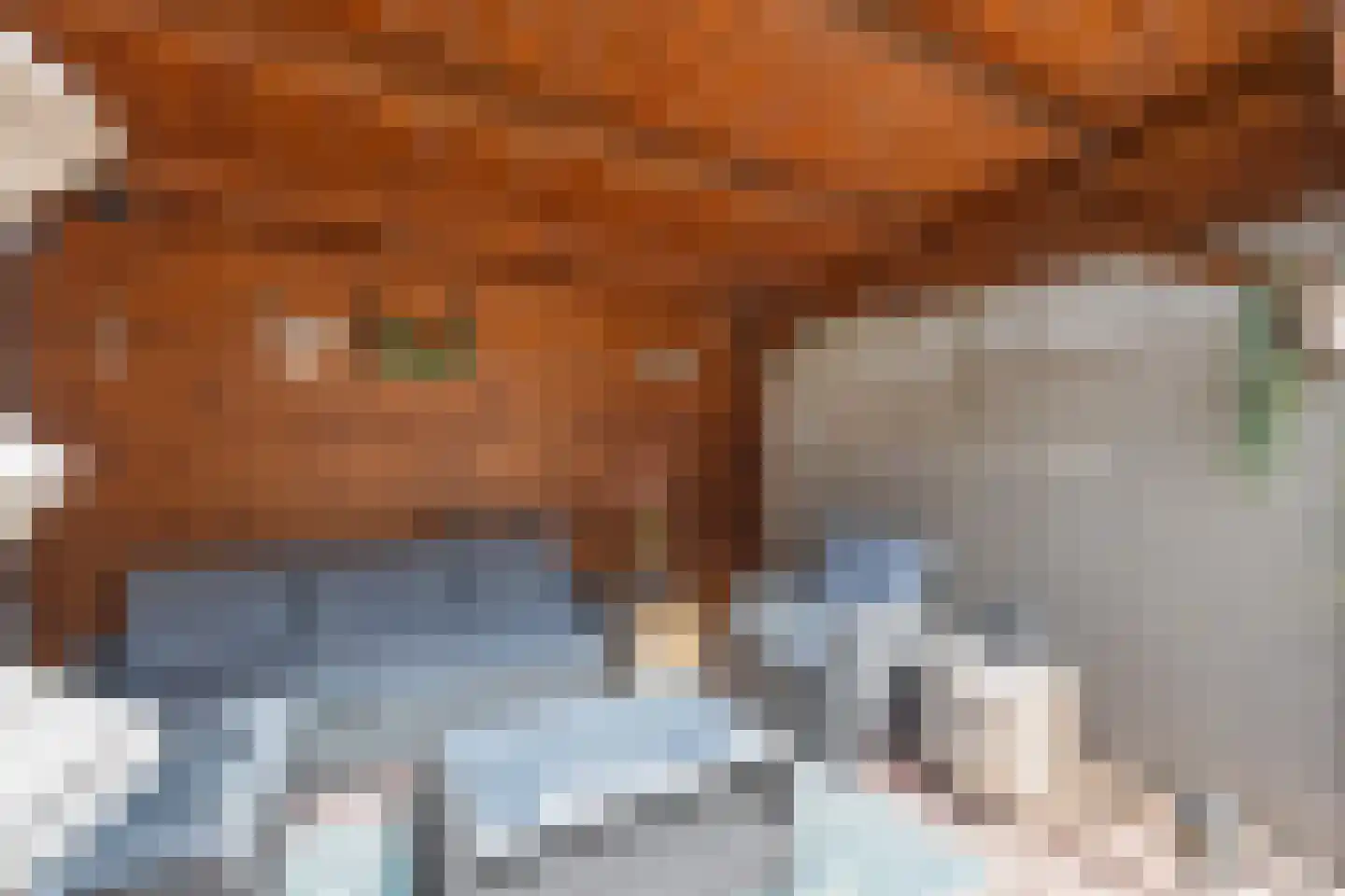Doorzwin 4128 Julianadorp thumbnail 38