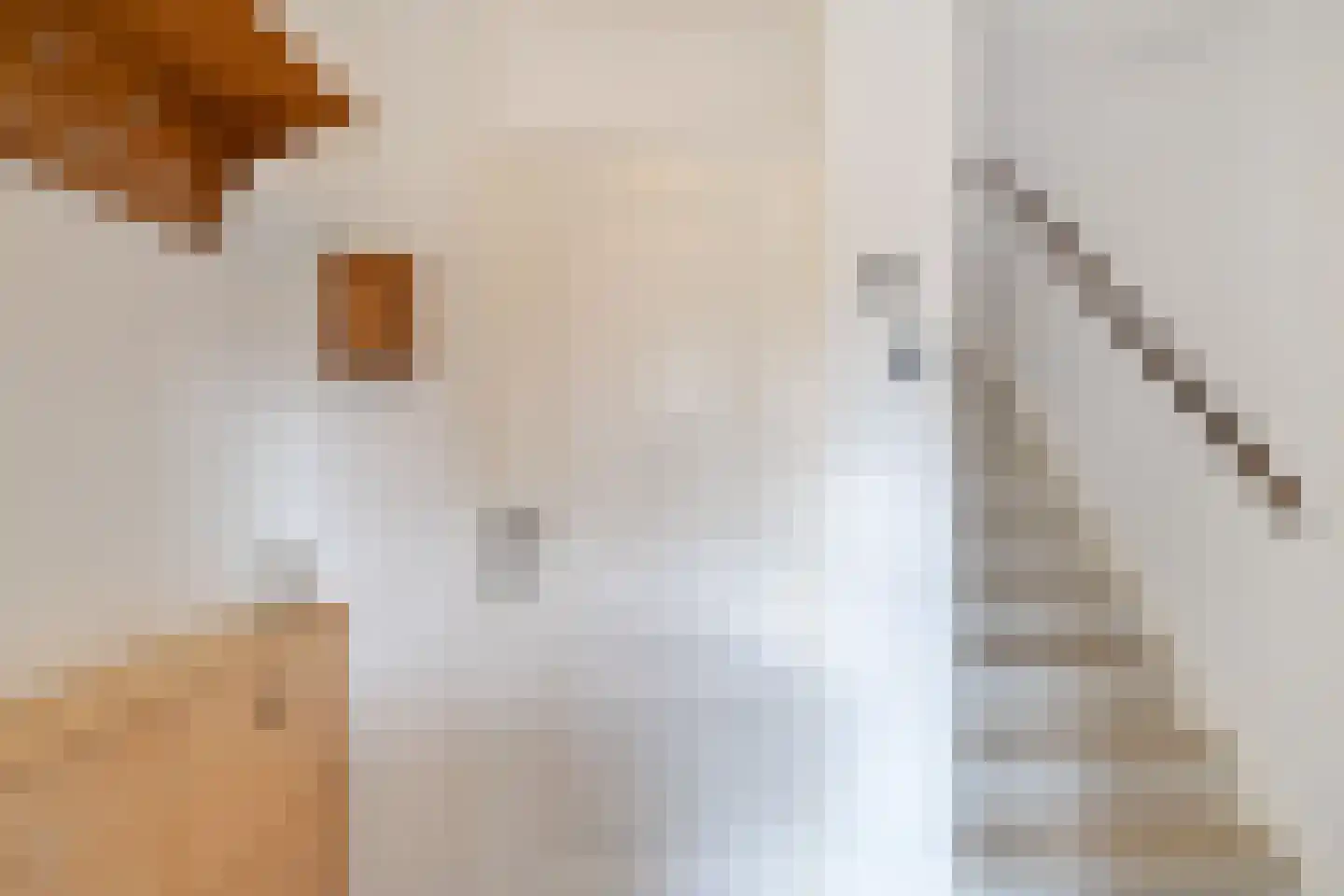 Doorzwin 4128 Julianadorp thumbnail 7