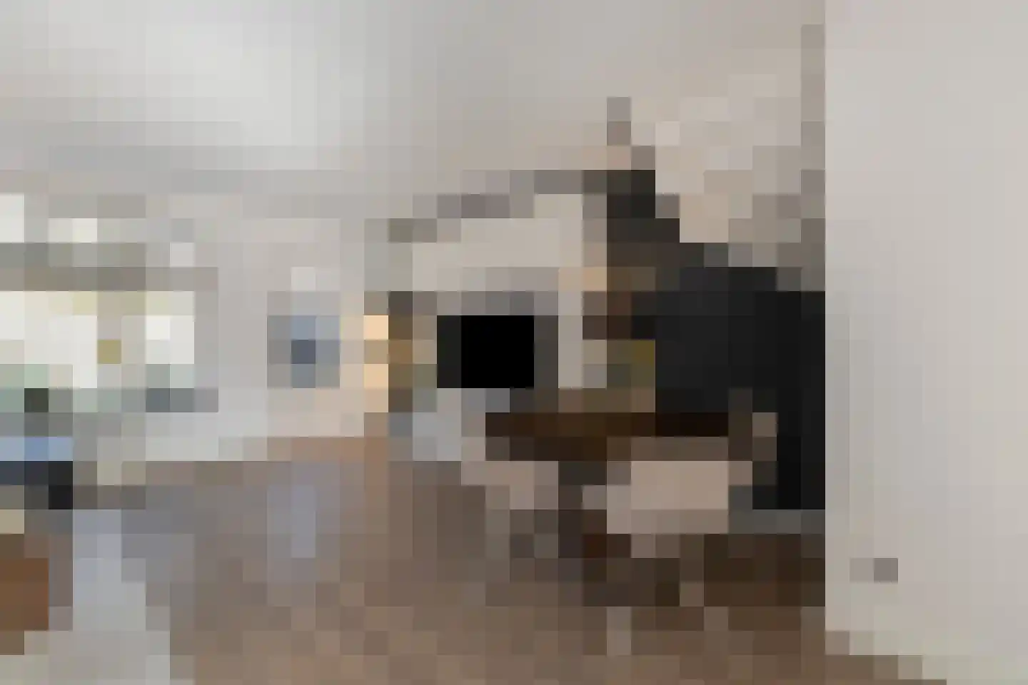 Doorzwin 4130 Julianadorp thumbnail 10