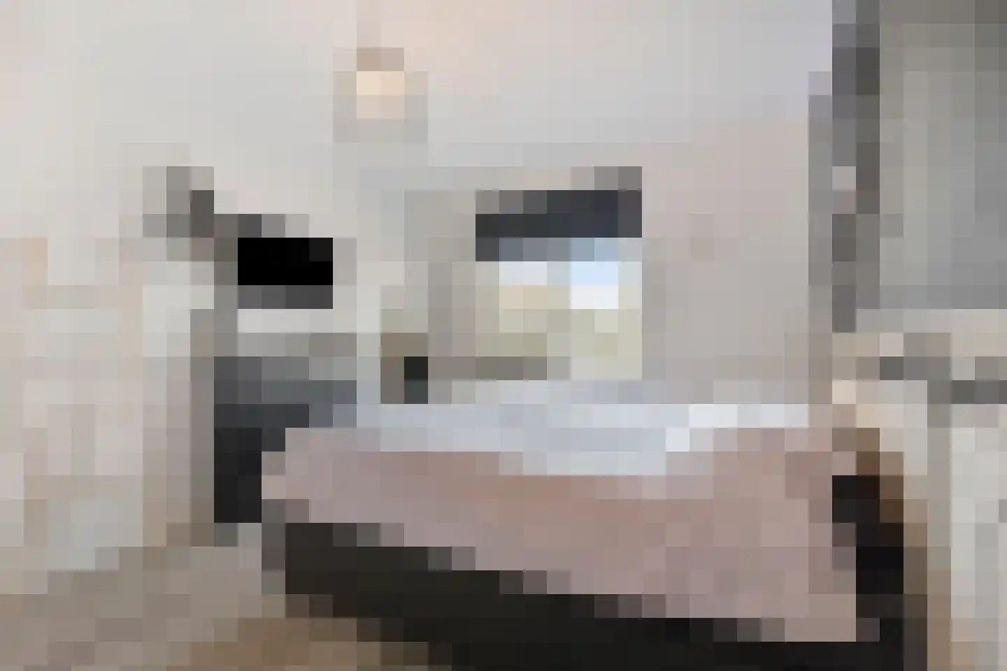 Doorzwin 4130 Julianadorp thumbnail 20
