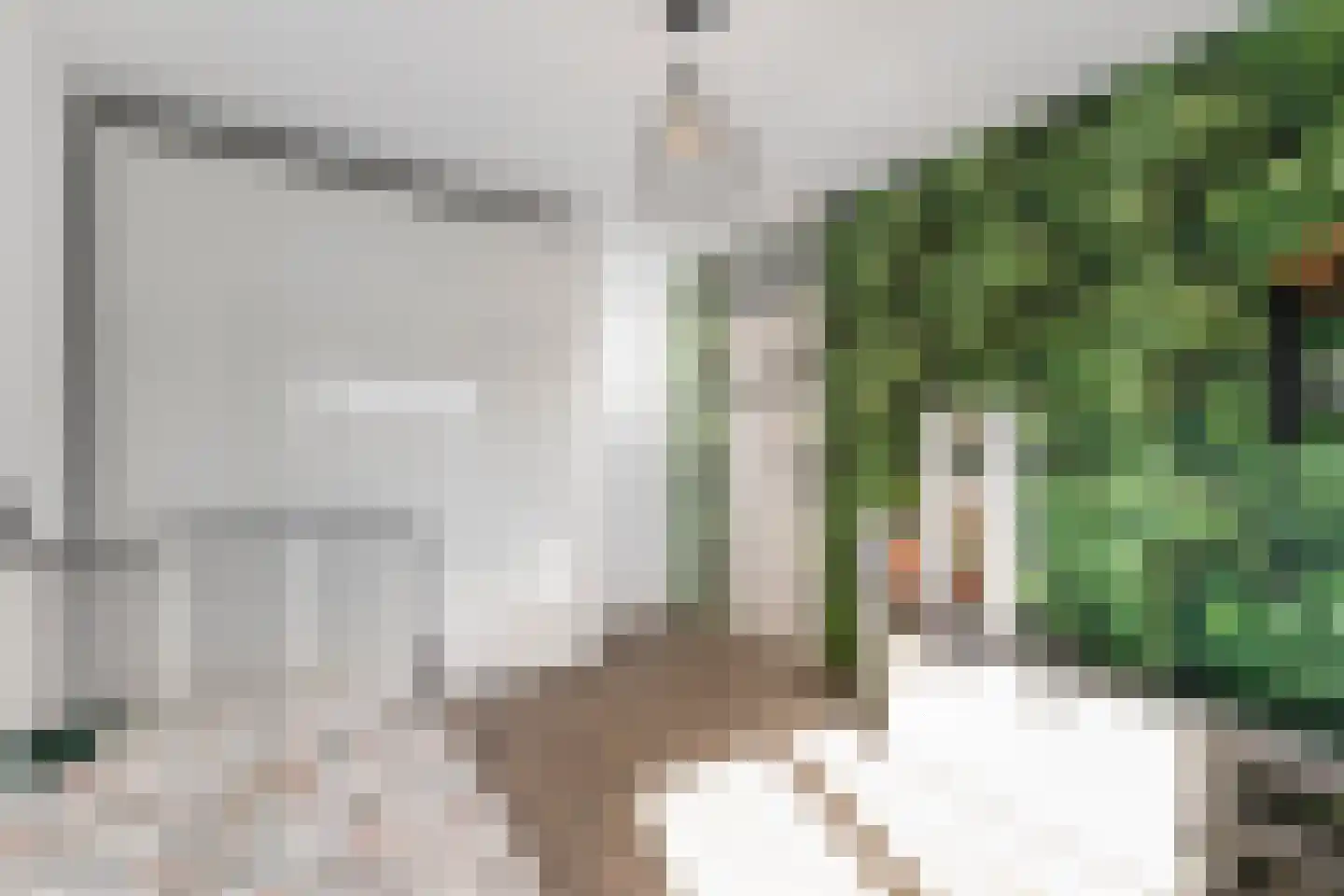 Doorzwin 4130 Julianadorp thumbnail 24