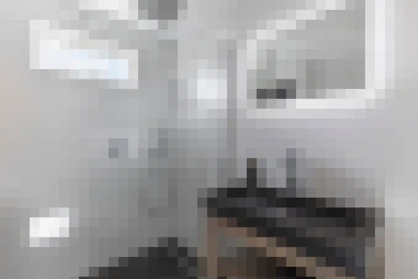 Doorzwin 4130 Julianadorp thumbnail 27