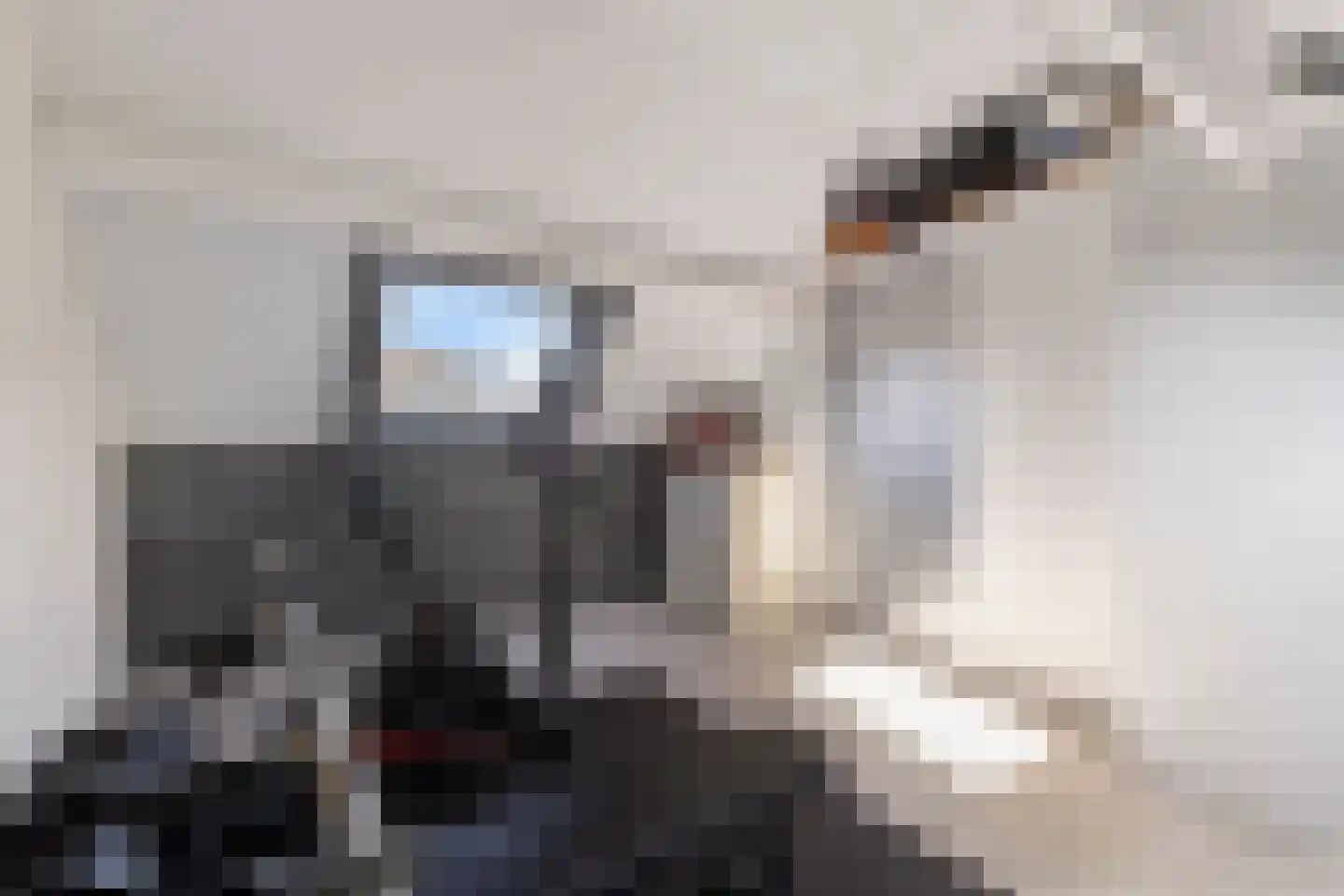 Doorzwin 4130 Julianadorp thumbnail 31