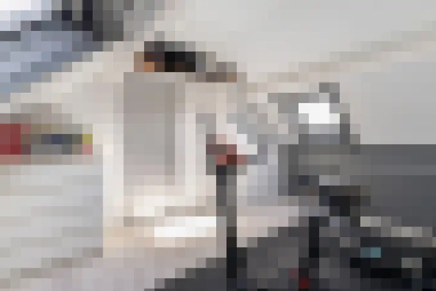 Doorzwin 4130 Julianadorp thumbnail 32