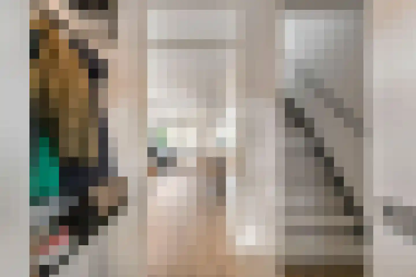 Doorzwin 4130 Julianadorp thumbnail 7