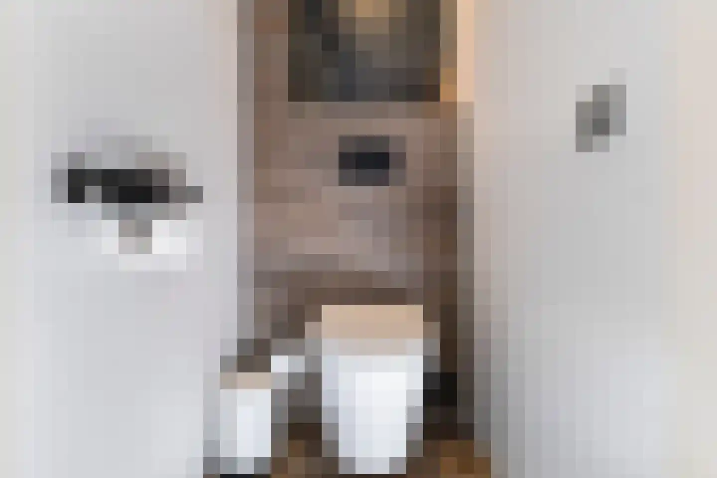 Doorzwin 4130 Julianadorp thumbnail 8