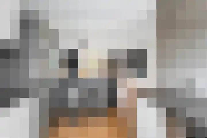 Doorzwin 4140 Julianadorp thumbnail 12