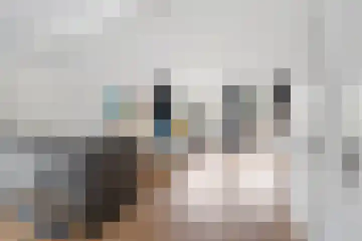 Doorzwin 4140 Julianadorp thumbnail 13