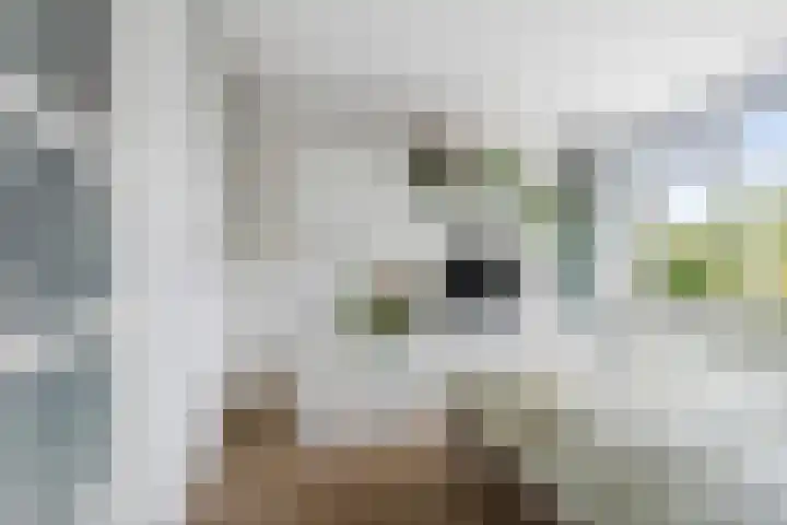 Doorzwin 4140 Julianadorp thumbnail 26