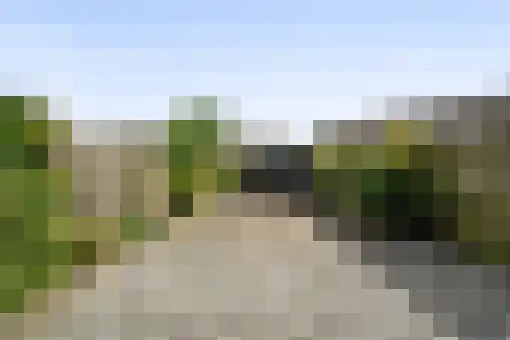 Doorzwin 4171 Julianadorp thumbnail 13