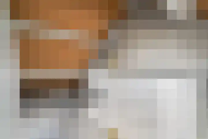 Doorzwin 4171 Julianadorp thumbnail 24