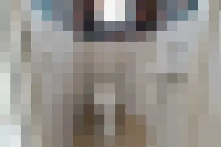 Doorzwin 4171 Julianadorp thumbnail 7