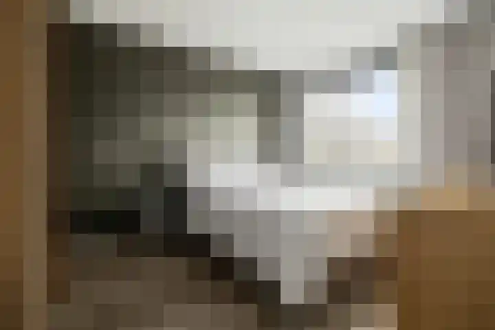 Doorzwin 4174 Julianadorp thumbnail 10