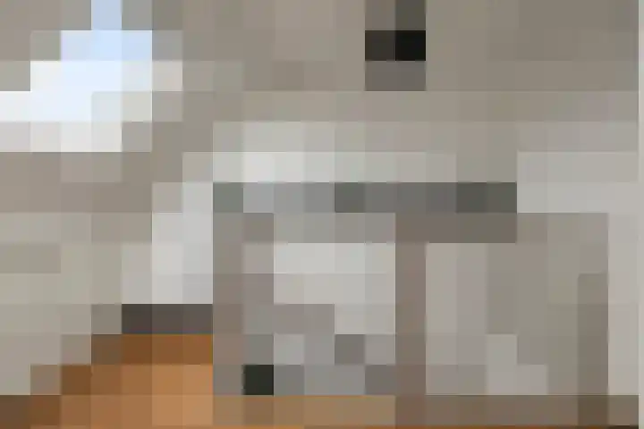 Doorzwin 4174 Julianadorp thumbnail 16