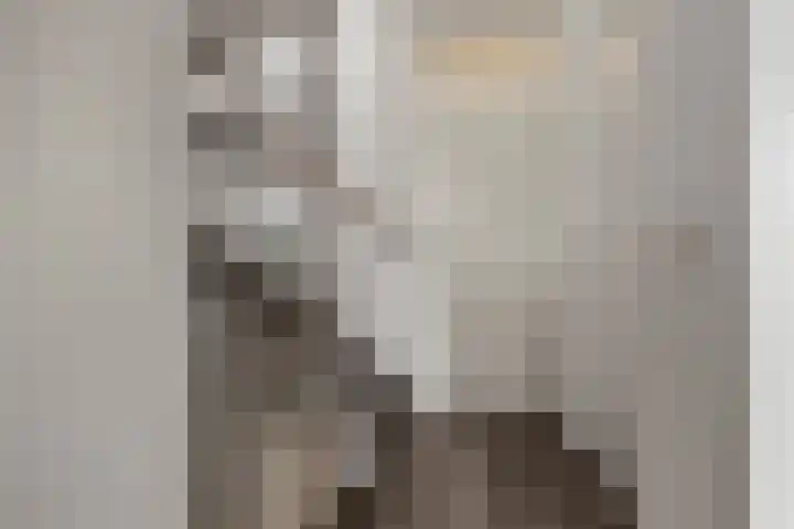Doorzwin 4174 Julianadorp thumbnail 17